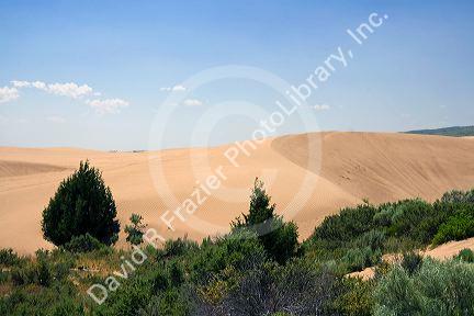 Sand dunes at St. Anthony, Idaho.