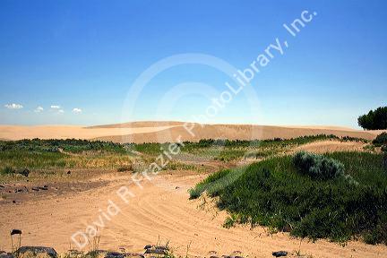 Sand dunes in St. Anthony, Idaho.