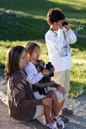 Hispanic family viewing wildlife with binoculars in Yellowstone National Park, Wyoming. MR