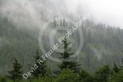Fog and mist cover the Cascade Range near Snoqualmie Pass in Washington.