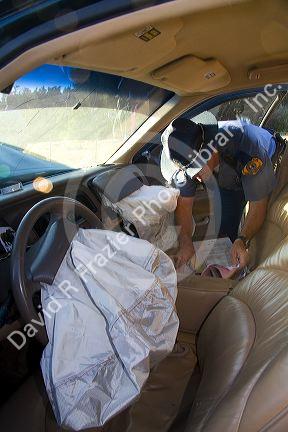 Police officer investigating a car accident at Kennewick, Washington.