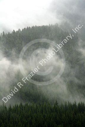 Fog and mist cover the Cascade Range near Snoqualmie Pass in Washington.