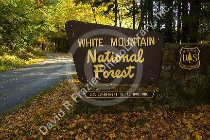 White Mountain National Forest in Grafton County, New Hampshire, USA.