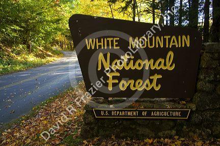 White Mountain National Forest in Grafton County, New Hampshire, USA.