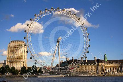 The London Eye along the River Thames in the city of London, England.