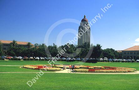 Stanford University in Palo Alto, California.