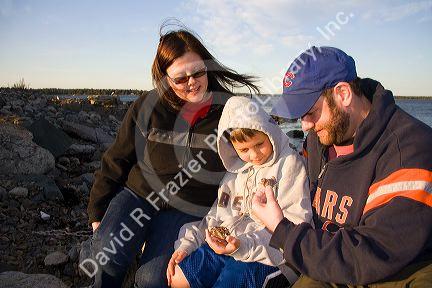 Family looking at a green crab in Odiorne Point State Park near the Seacoast Science Center at Rye, New Hampshire, USA.