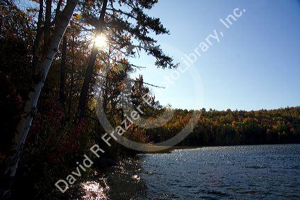 Fall foliage at Russell Pond in the White Mountain National Forest, Grafton County, New Hampshire, USA.