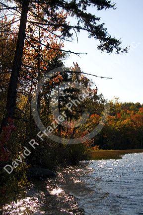 Fall foliage at Russell Pond in the White Mountain National Forest, Grafton County, New Hampshire, USA.