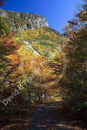 Scenic view of fall foliage and walking path in the Franconia Notch State Park, New Hampshire, USA.