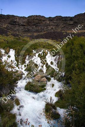 Fresh water springs at Niagra Springs State Park in Hagerman, Idaho, USA.