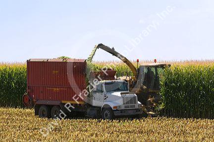 Corn harvester near Jerome, Idaho, USA.