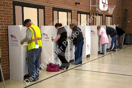 Voters use cardboard voting booths at a polling station in Boise, Idaho, USA.