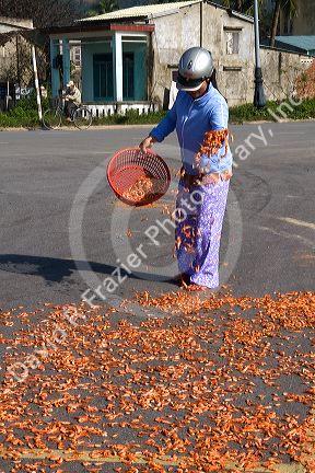 Shrimp being dried on a parking lot near the port city of Da Nang, Vietnam.
