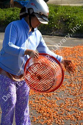 Shrimp being dried on a parking lot near the port city of Da Nang, Vietnam.
