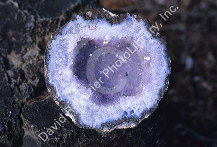 A thunderegg also known as a geode.