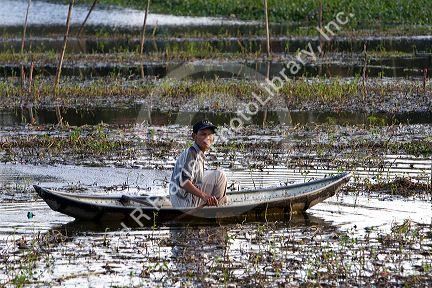 Vietnamese man in a boat tends to a fish pond in Hue, Vietnam.