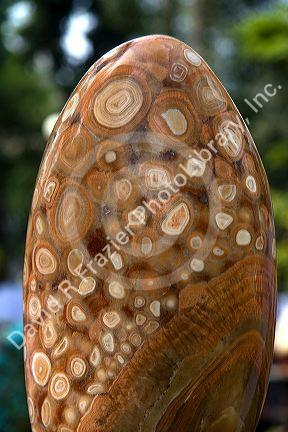 Egg shaped pisolite on display at the Nguyen Hue Boulevard in Ho Chi Minh City, Vietnam.