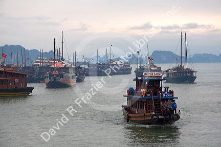 Tourist boats at the port of Ha Long Bay, Vietnam.