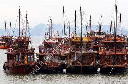 Tourist boats at the port of Ha Long Bay, Vietnam.