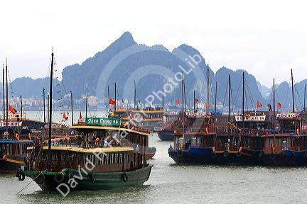 Tourist boats at the port of Ha Long Bay, Vietnam.