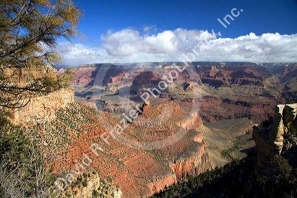 South Rim view of the Grand Canyon, Arizona, USA.