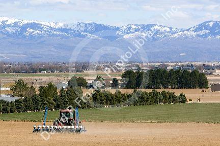 Farmer planting corn crop in Canyon County, Idaho, USA.