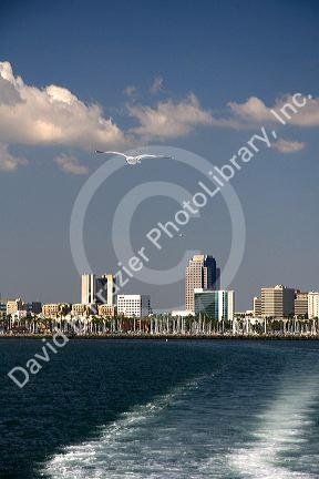 Skyline of Long Beach, California, USA.