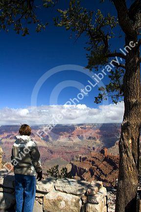 South Rim view of the Grand Canyon, Arizona, USA.