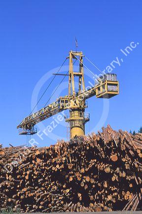 A crane used to move harvested logs in Wilamina,  Oregon.