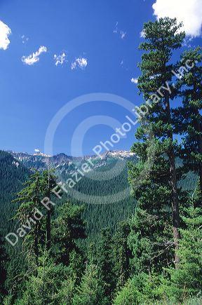 Cascade mountain range in Washington.