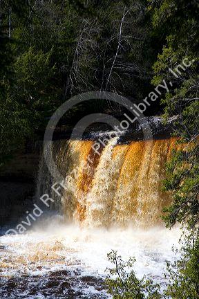 Upper Tahquamenon Falls on the Tahquamenon River in the eastern Upper Peninsula of Michigan, USA.