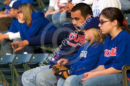 Chicago Cubs fans at Wrigley Field in Chicago, Illinois, USA.