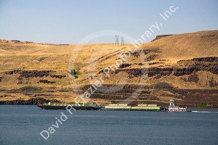 Barges being pushed down the Columbia River by a tugboat near the John Day Dam, Oregon, USA.