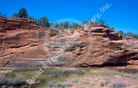 Weathered sandstone cliff near Kanab, Utah.