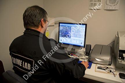 Fingerprint analyst using a computer to classify fingerprints in a crime laboratory.
