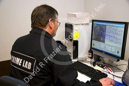 Fingerprint analyst using a computer to classify fingerprints in a crime laboratory.