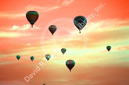 Hot air balloons in the sky. (color digitally enhanced)