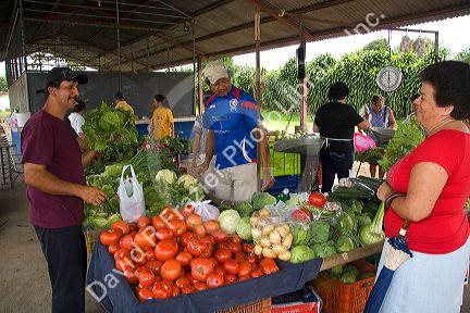 Outdoor produce market at Venecia, Costa Rica.