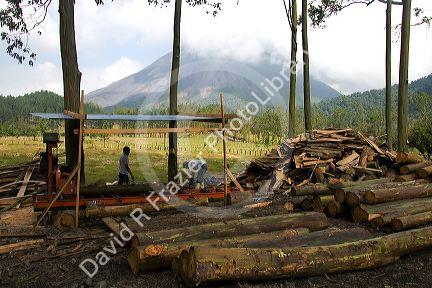 Workers at a sawmill cutting lumber in the Arenal Volcano National Park near La Fortuna, San Carlos, Costa Rica.