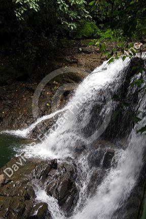 Puma Waterfall in the Veragua Rainforest Research and Adventure Park near Limon, Costa Rica.
