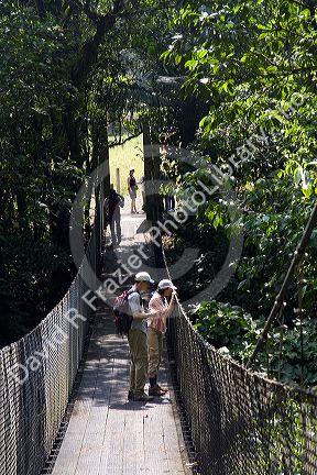 Danta suspension footbridge in the Arenal Volcano National Park near La Fortuna, San Carlos, Costa Rica.