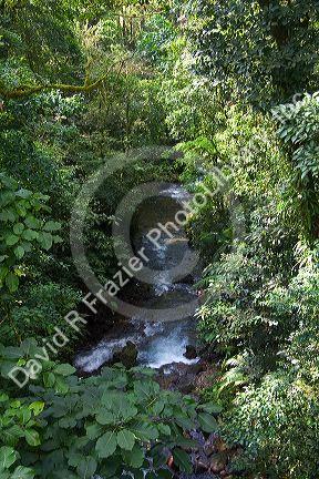 Fresh water stream running through the Arenal Volcano National Park near La Fortuna, San Carlos, Costa Rica.