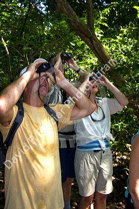 Tourists view wildlife through binoculars in the Manuel Antonio National Park in Puntarenas province, Costa Rica.