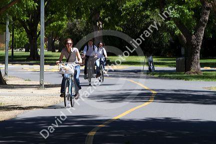 Bike-only paths on the campus of UC Davis, California, USA.