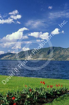 Okanagan Lake near Kelowna, British Columbia.