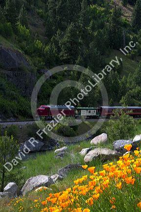 The Thunder Mountain Line scenic tourist train traveling along the Payette River between Horseshoe Bend and Banks, Idaho, USA.