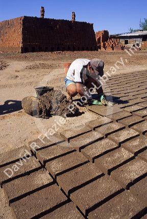Adobe bricks being made near Talca, Chile.