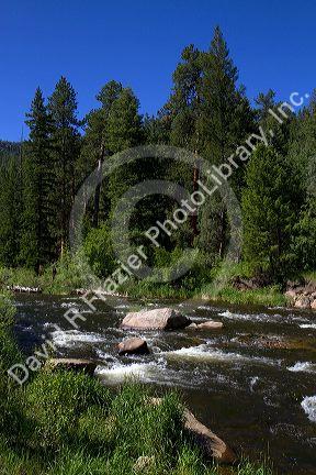 The Big Thompson River near Loveland, Colorado, USA.