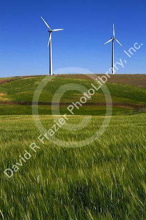 The Condon wind farm located near the town of Condon in central Oregon, USA.